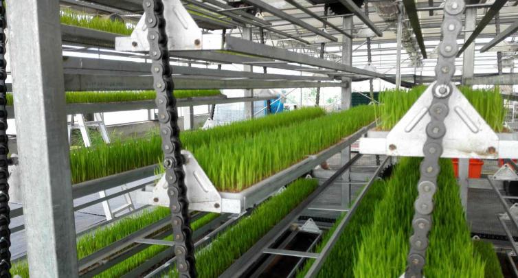 育苗機械設(shè)備16AD1.16輸送鏈使用案例